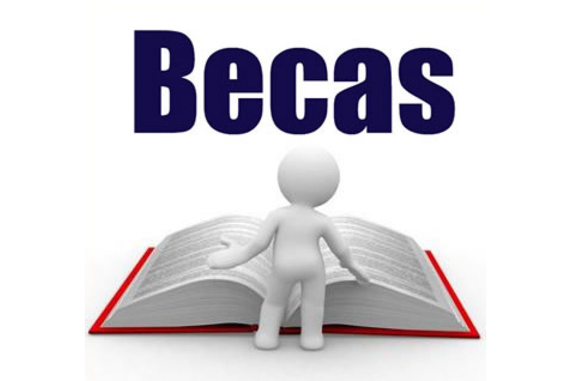 Becas de carácter general para el curso académico 2024-2025 ...